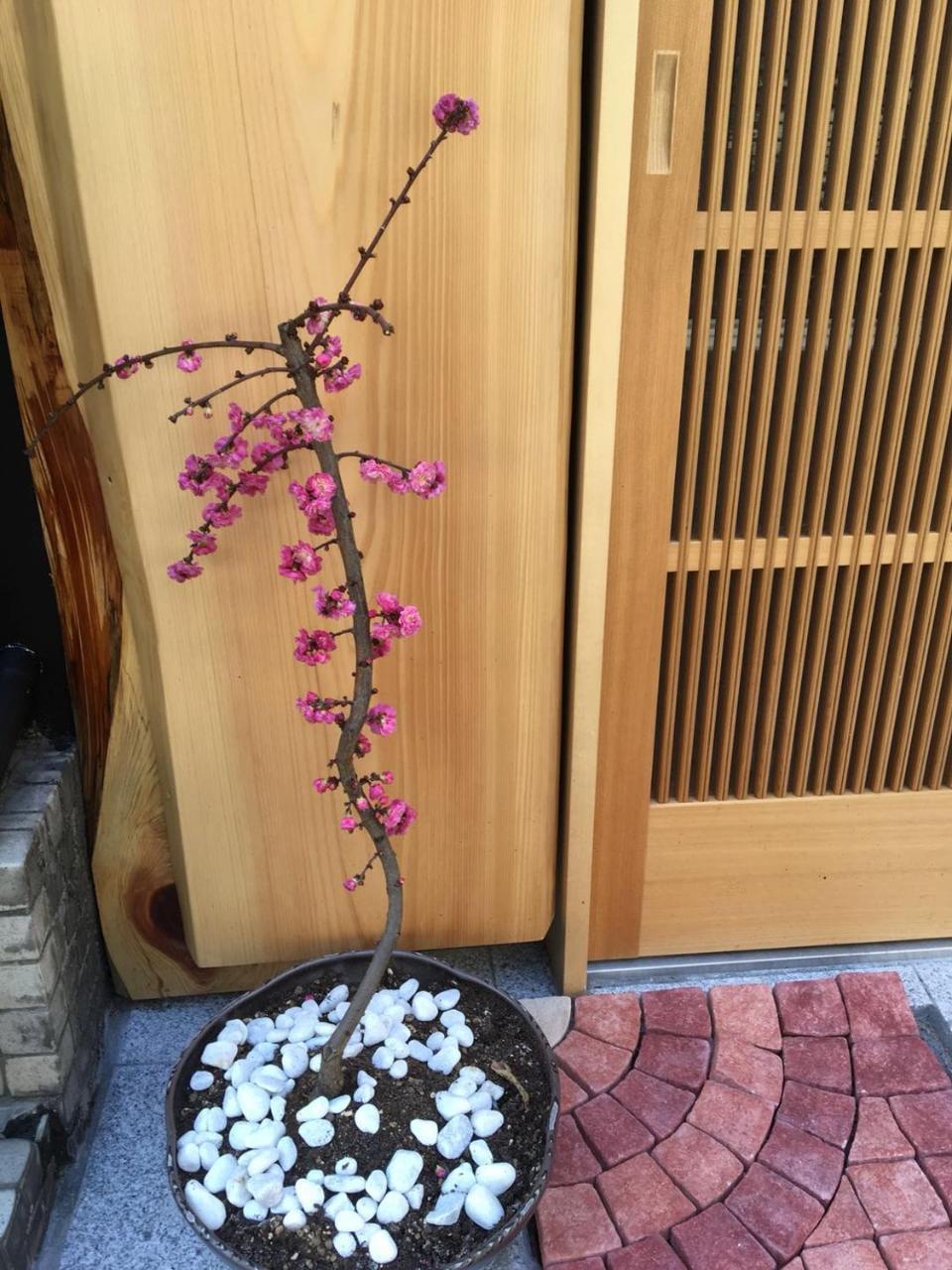 美築八坂 Apartment เกียวโต ภายนอก รูปภาพ